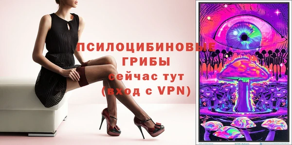 ПСИЛОЦИБИНОВЫЕ ГРИБЫ Ладушкин