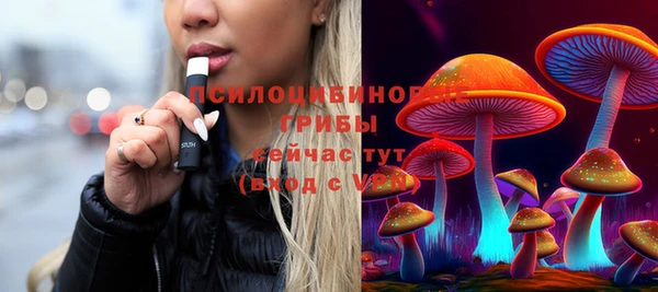 apvp Алексеевка