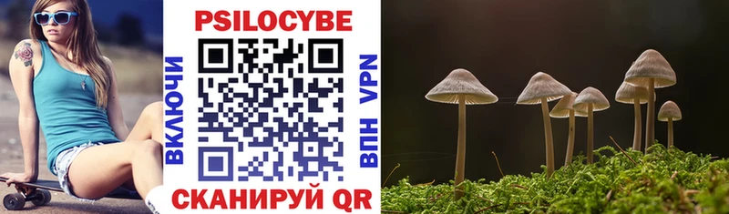 Галлюциногенные грибы MAGIC MUSHROOMS  где можно купить   Харовск 