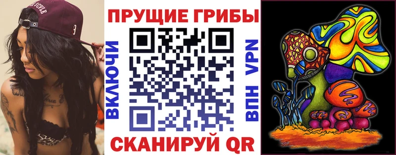 Галлюциногенные грибы Cubensis Харовск